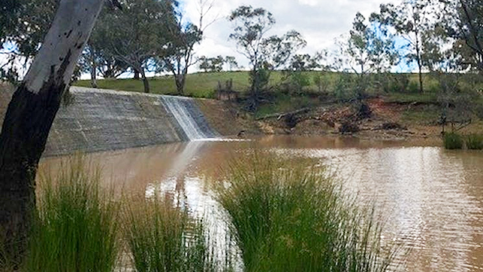 Bogan Weir - Peak Hill