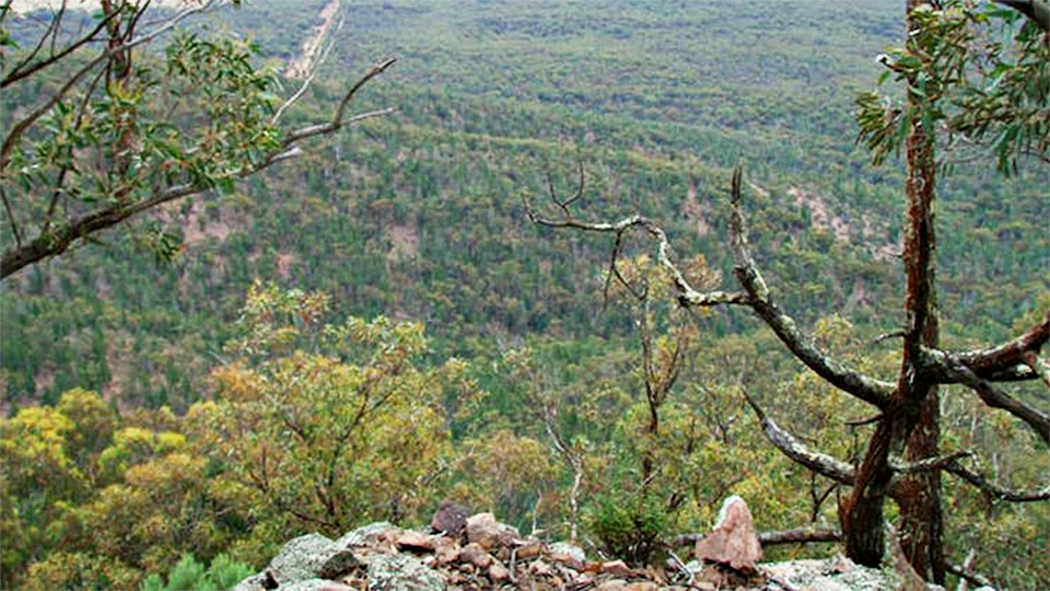 Burrabadine Walking Track